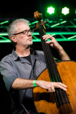 Stefan Scheib am Kontrabass - Das Carina Peitz Trio - Carina Peitz am Klavier, Stefan Scheib am Kontrabass und Kevin Naßhan, Schlagzeug - Landesvertretung Saarland - Jazz in den Ministergärten 2017